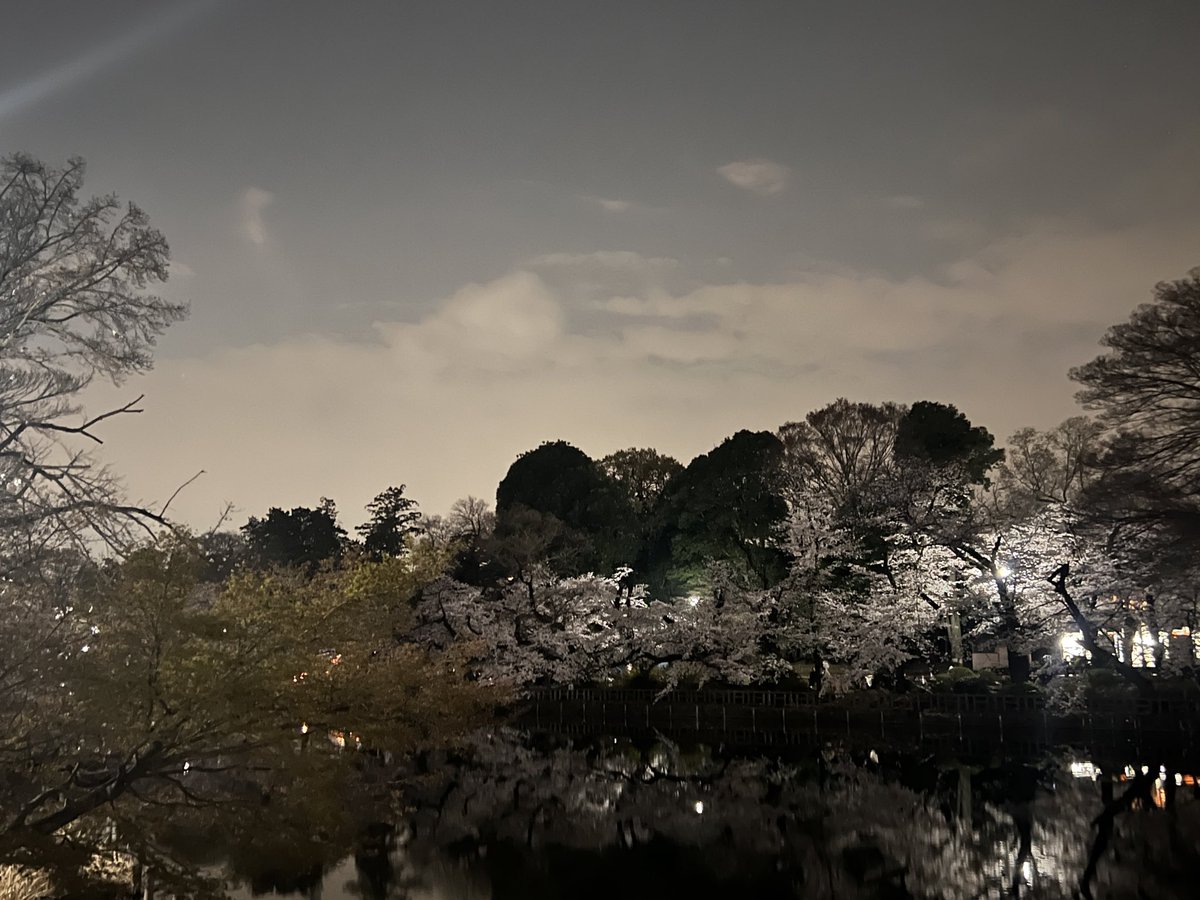 よんずん tweet media