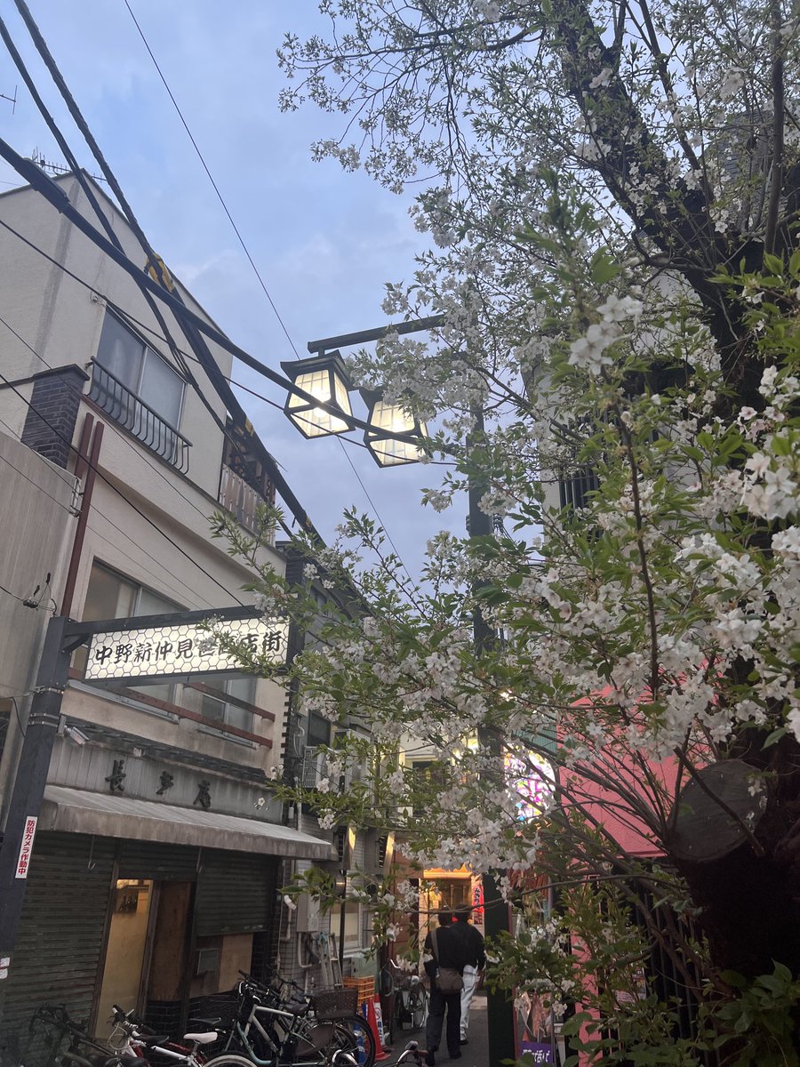 よんずん tweet media