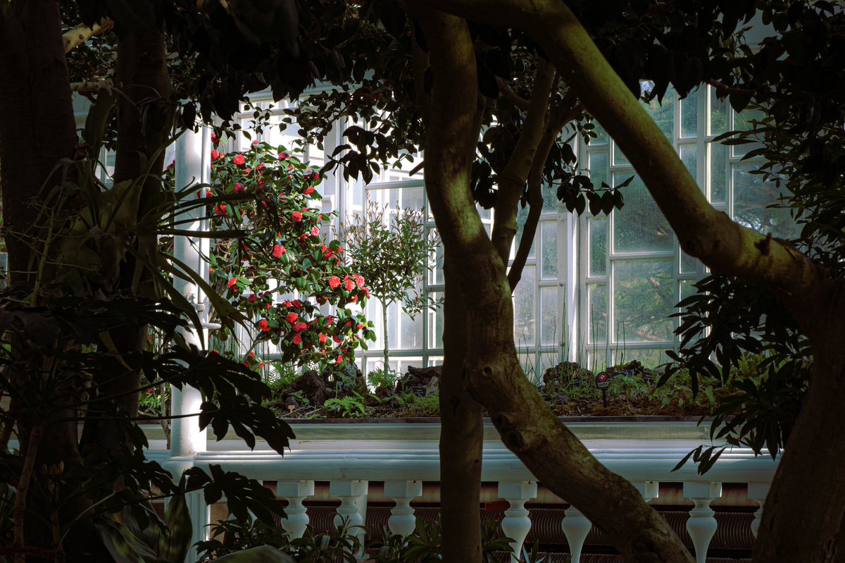 𝕣𝕒𝕤𝕙𝕒 tweet media