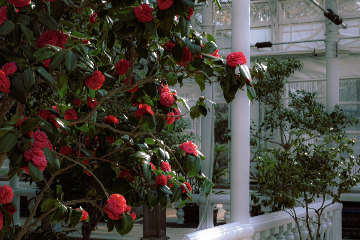 𝕣𝕒𝕤𝕙𝕒 tweet media