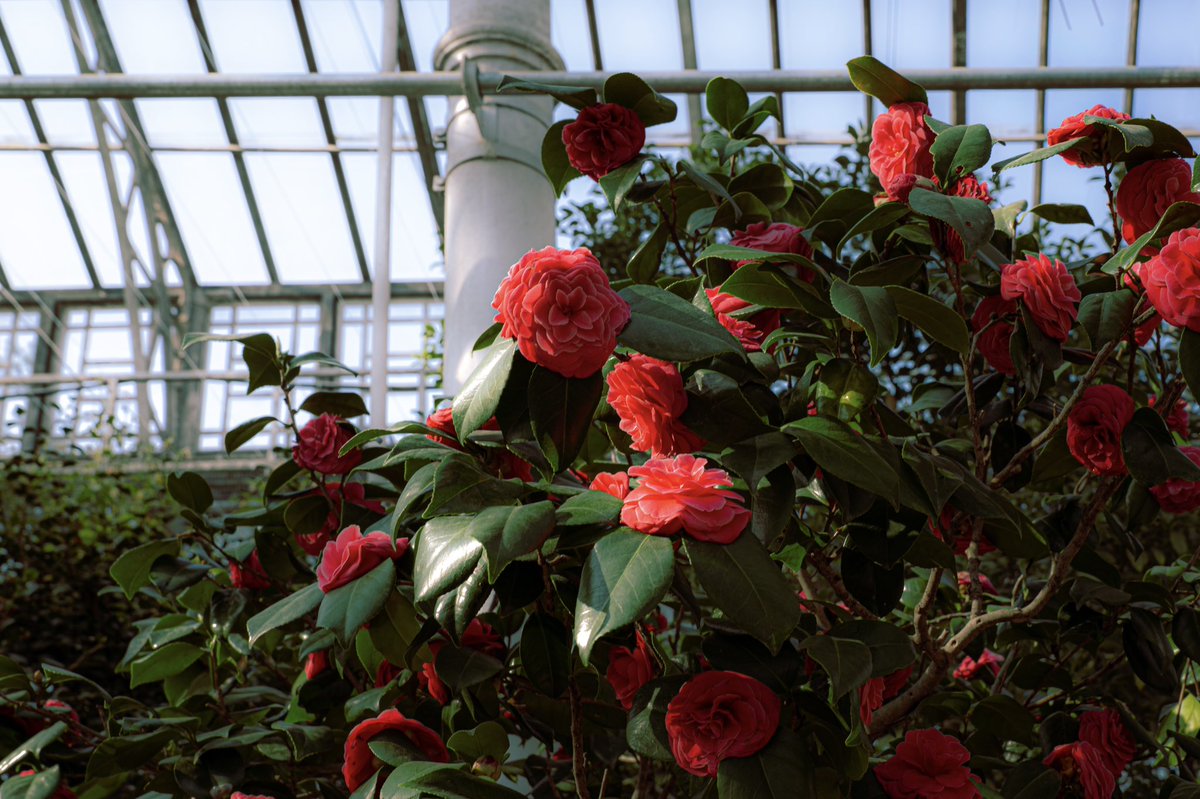 𝕣𝕒𝕤𝕙𝕒 tweet media