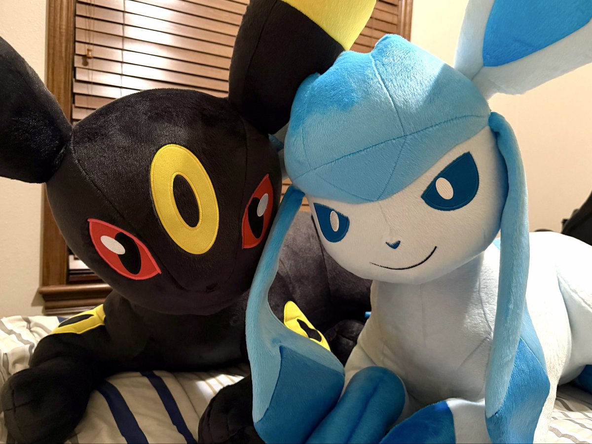 シンダリッテン tweet media