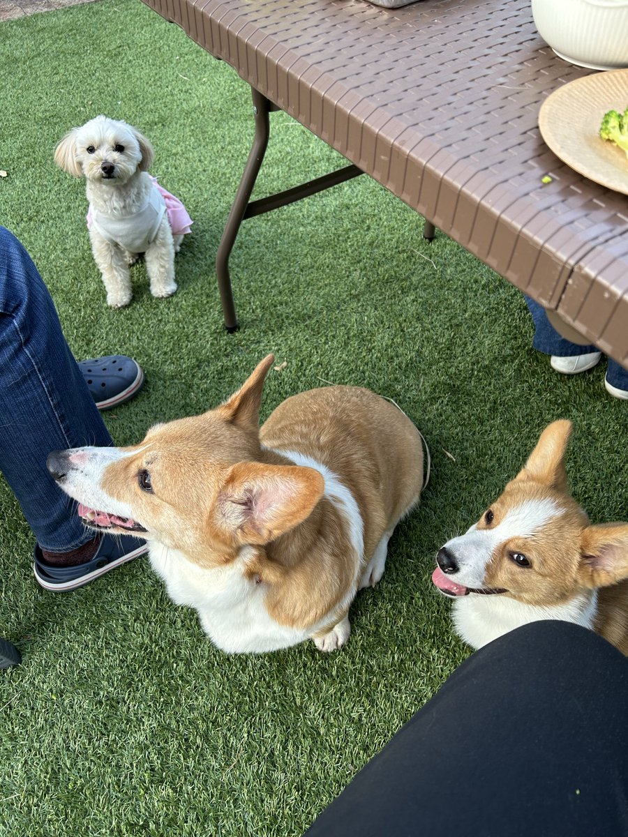 まめあず母 tweet media