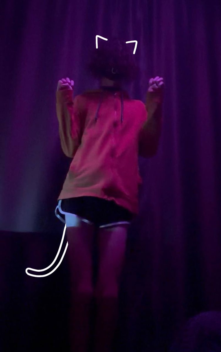 Felix🌈 tweet media