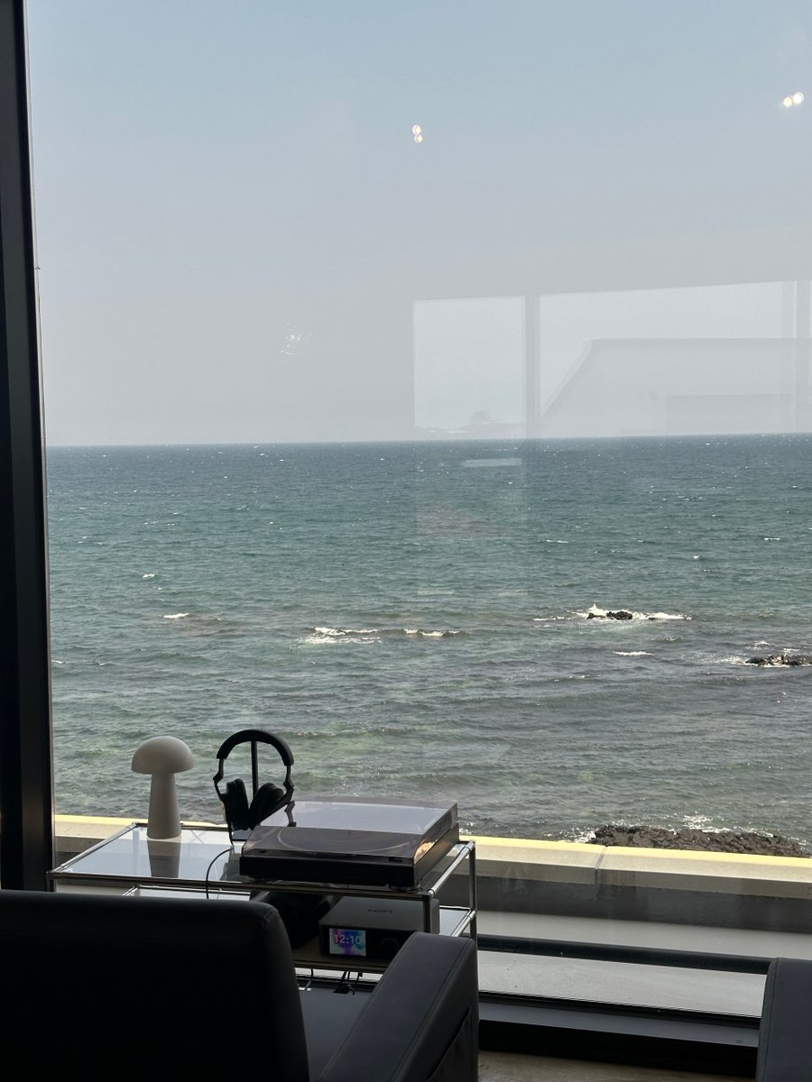 알감자 tweet media