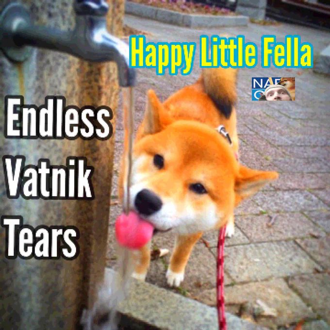 Rebel PR tweet media