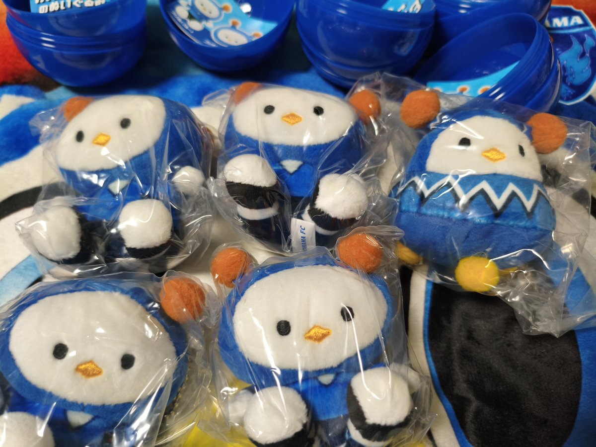 ぶっちー　（フリエサポ） tweet media