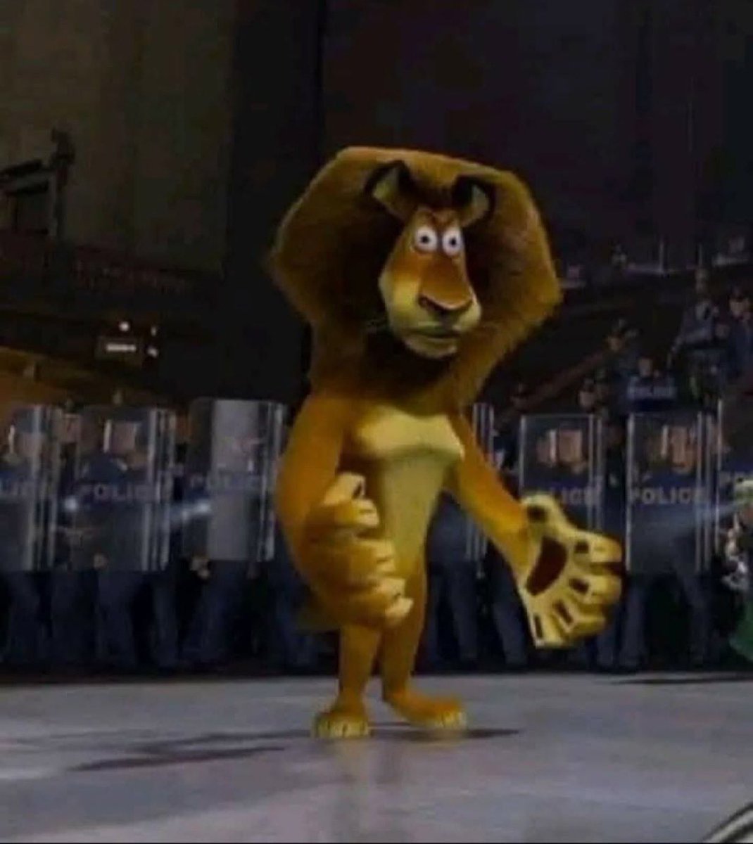 Flame of Rebirth tweet media