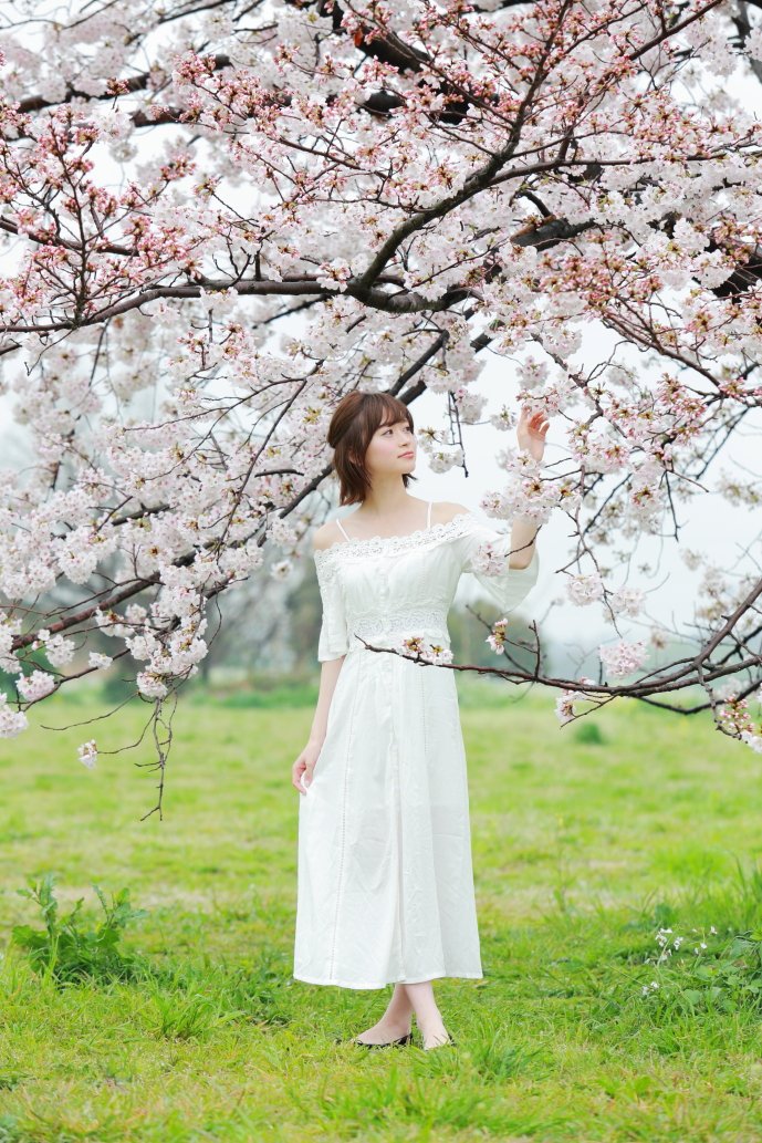 kurowasan11's tweet photo. 2017年桜
モデル　中沢結さん https://t.co/J1eSZvnYqf