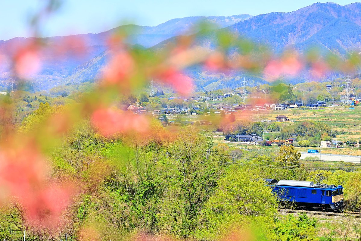 パナちゃん@鉄道 tweet media