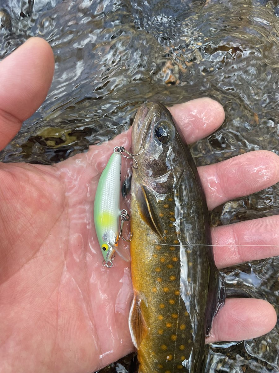 McYasiro's tweet photo. 渓流探索初日。
クマ糞まみれの中イワナラッシュ🧸
余裕の尺上を頭に怒涛の数釣り展開でした。
チビヤマセめちゃくちゃ良い🙆‍♂️

#RZS4112SLL
#チビヤマセ
#YAMASE48S https://t.co/uIoe1KJGVW