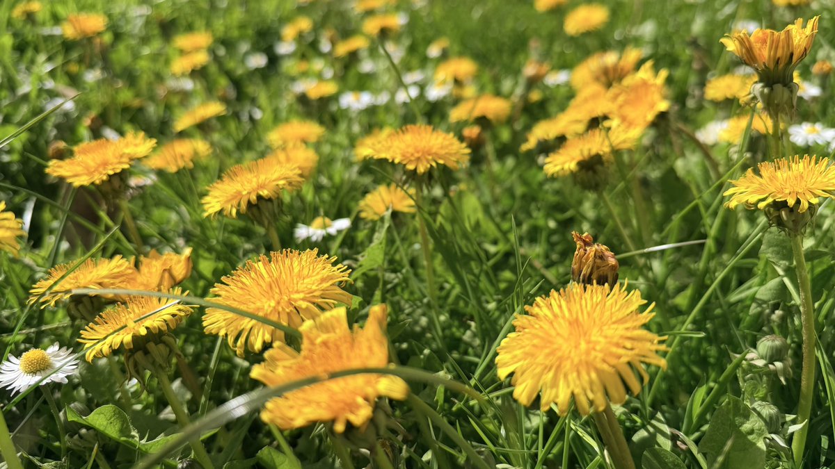 Julien Chièze tweet media