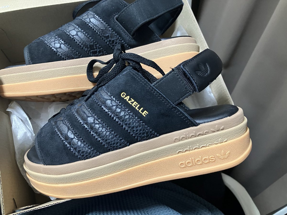 とれっく@稀にイタドリ tweet media