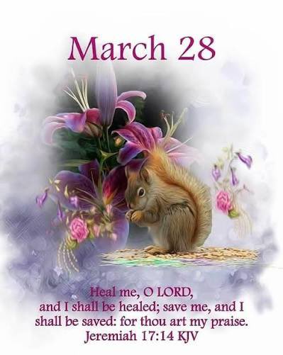 Jeff Hagen tweet media