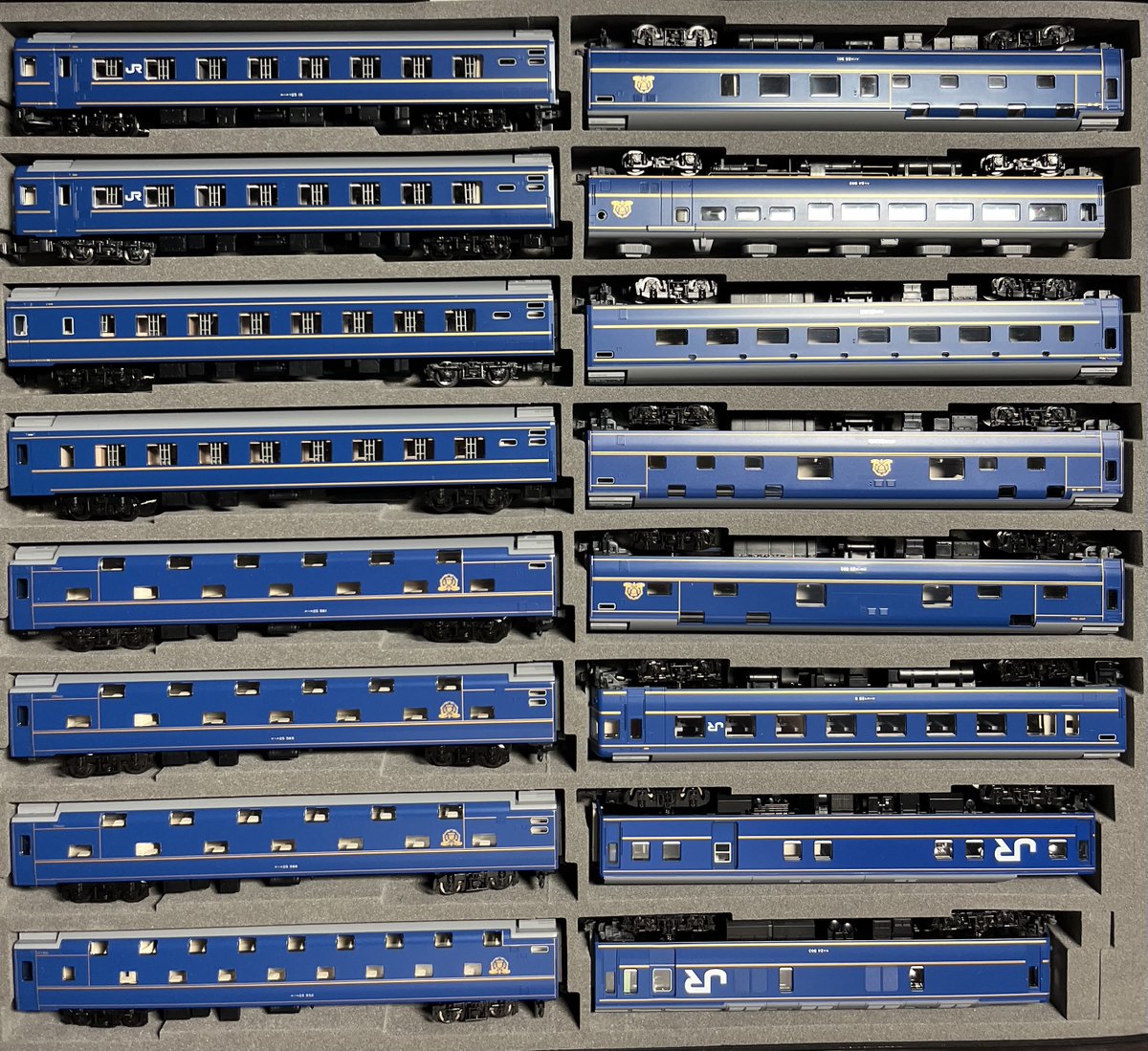 くまたろ〜 tweet media