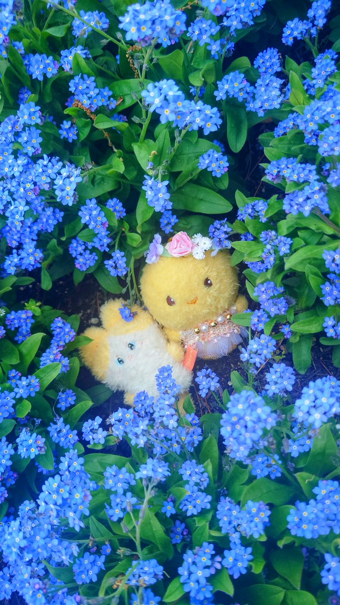 ちーこ👿ブロック推奨垢 tweet media