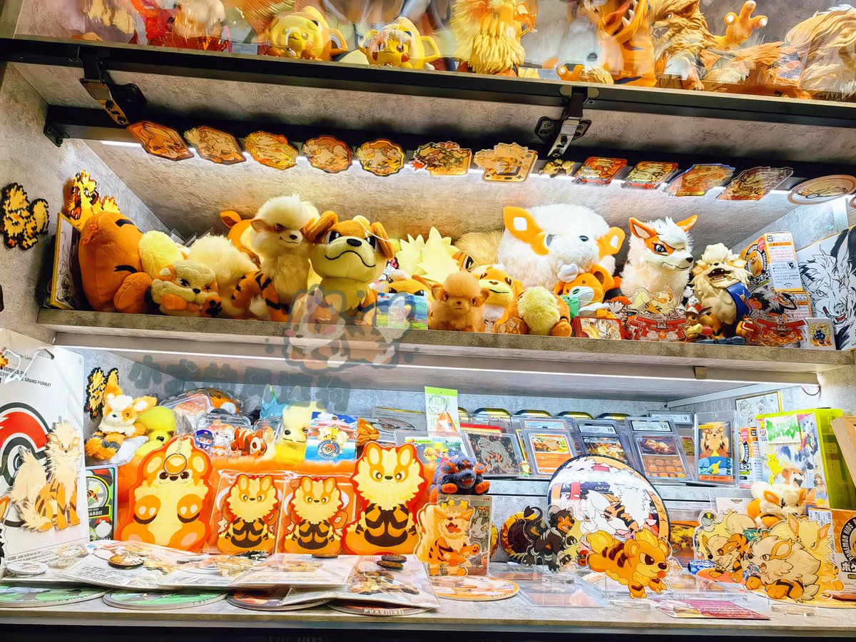 小尾巴的犬 tweet media