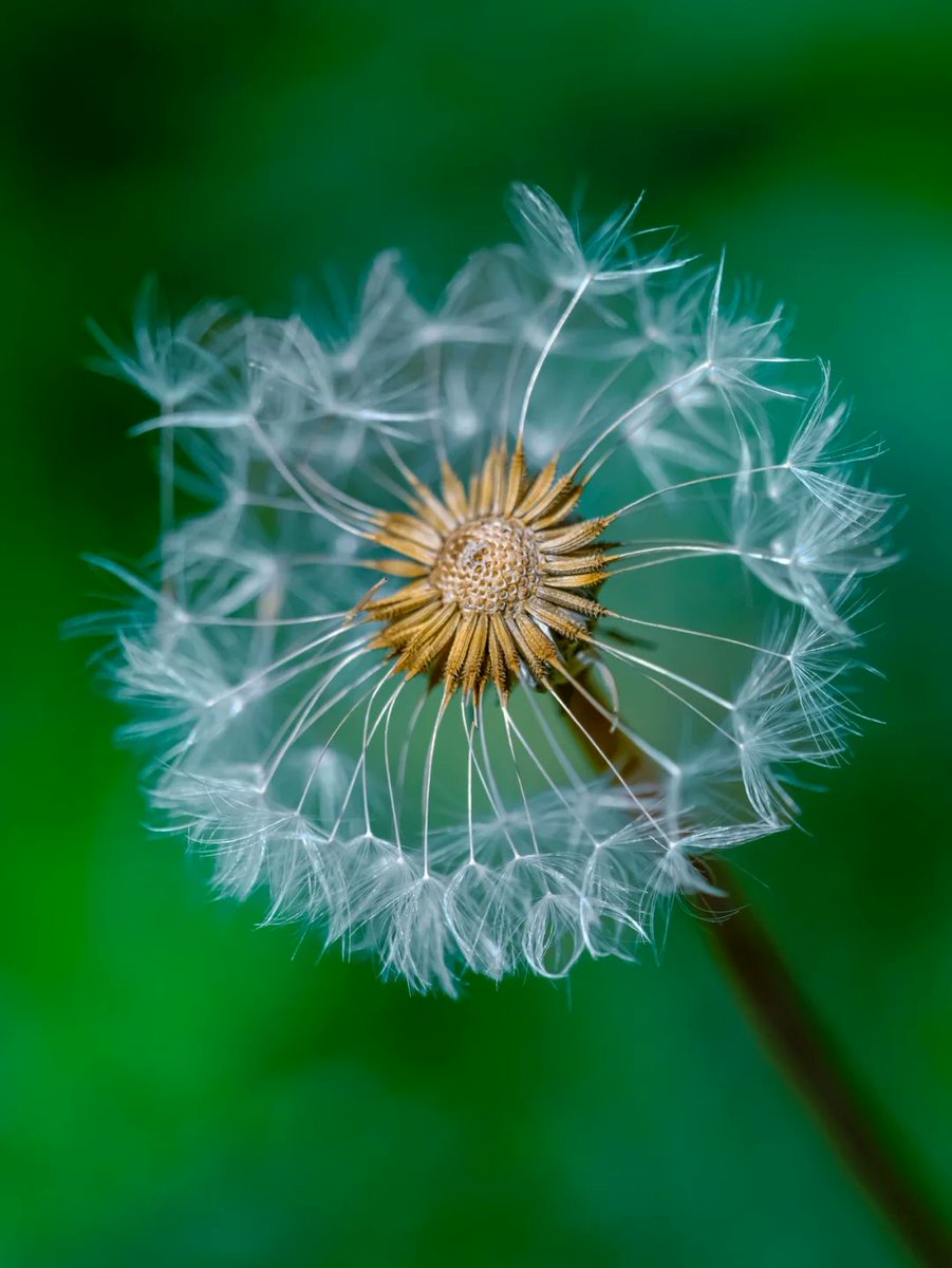 Jessica Sohovich tweet media