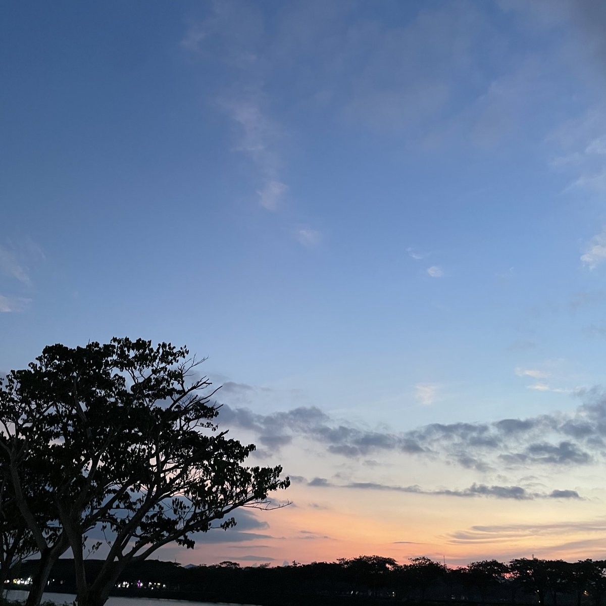 lilinevaa's tweet photo. langit sore tadi di timur Indonesia https://t.co/524pwJHb1T