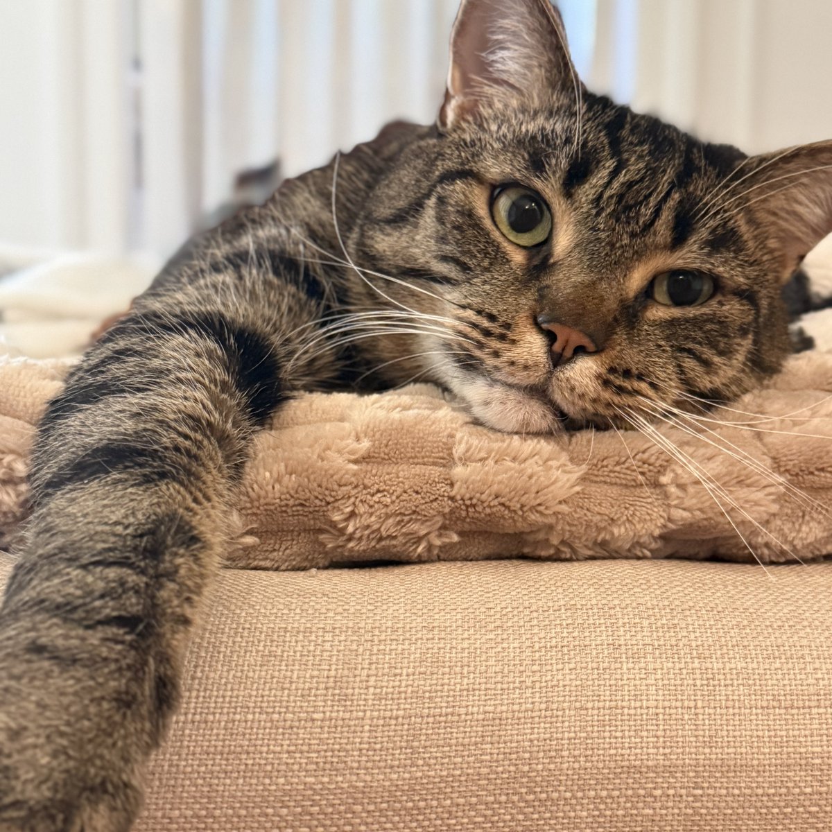 For the love of Missy. tweet media