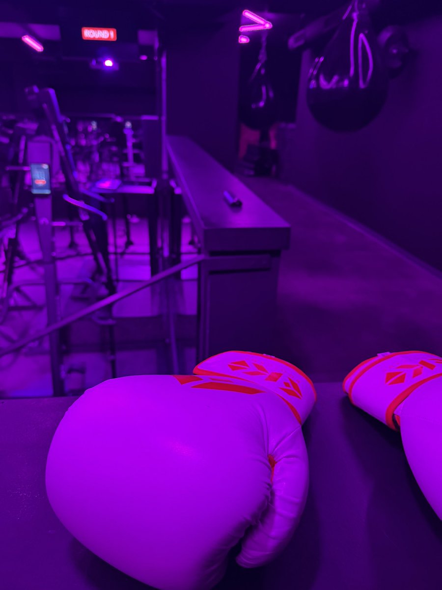 Manouche tweet media