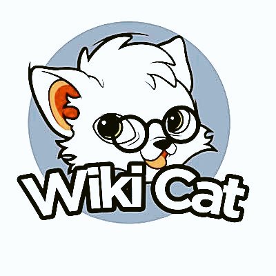 Mr Grace Clinton tweet media