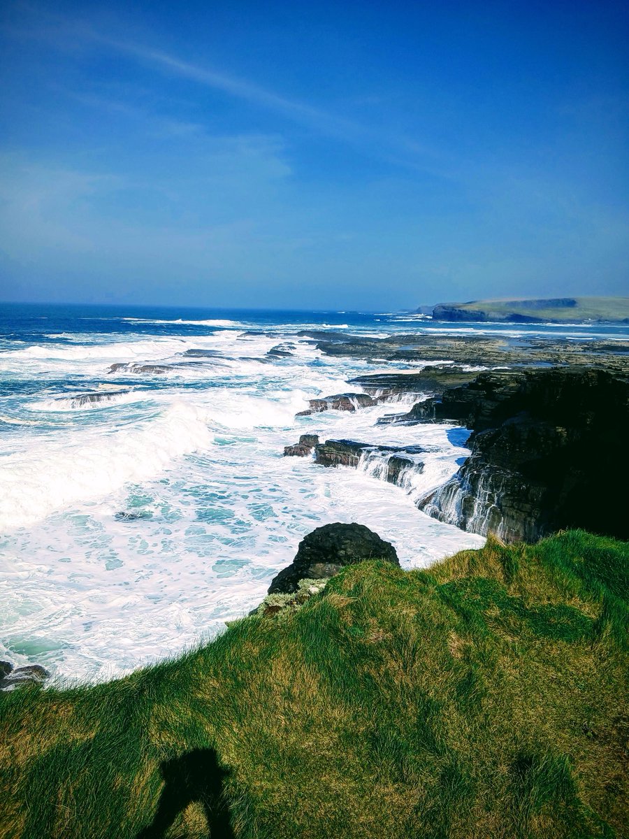 Maria Carmody tweet media