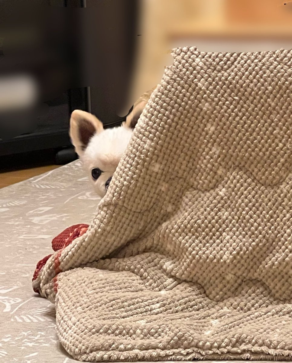 えむ。🌟 tweet media