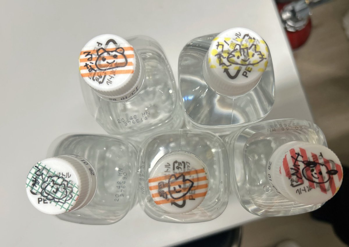 UMATENA🗽 tweet media