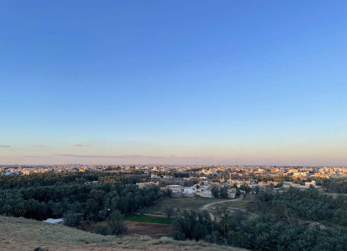 علياء tweet media