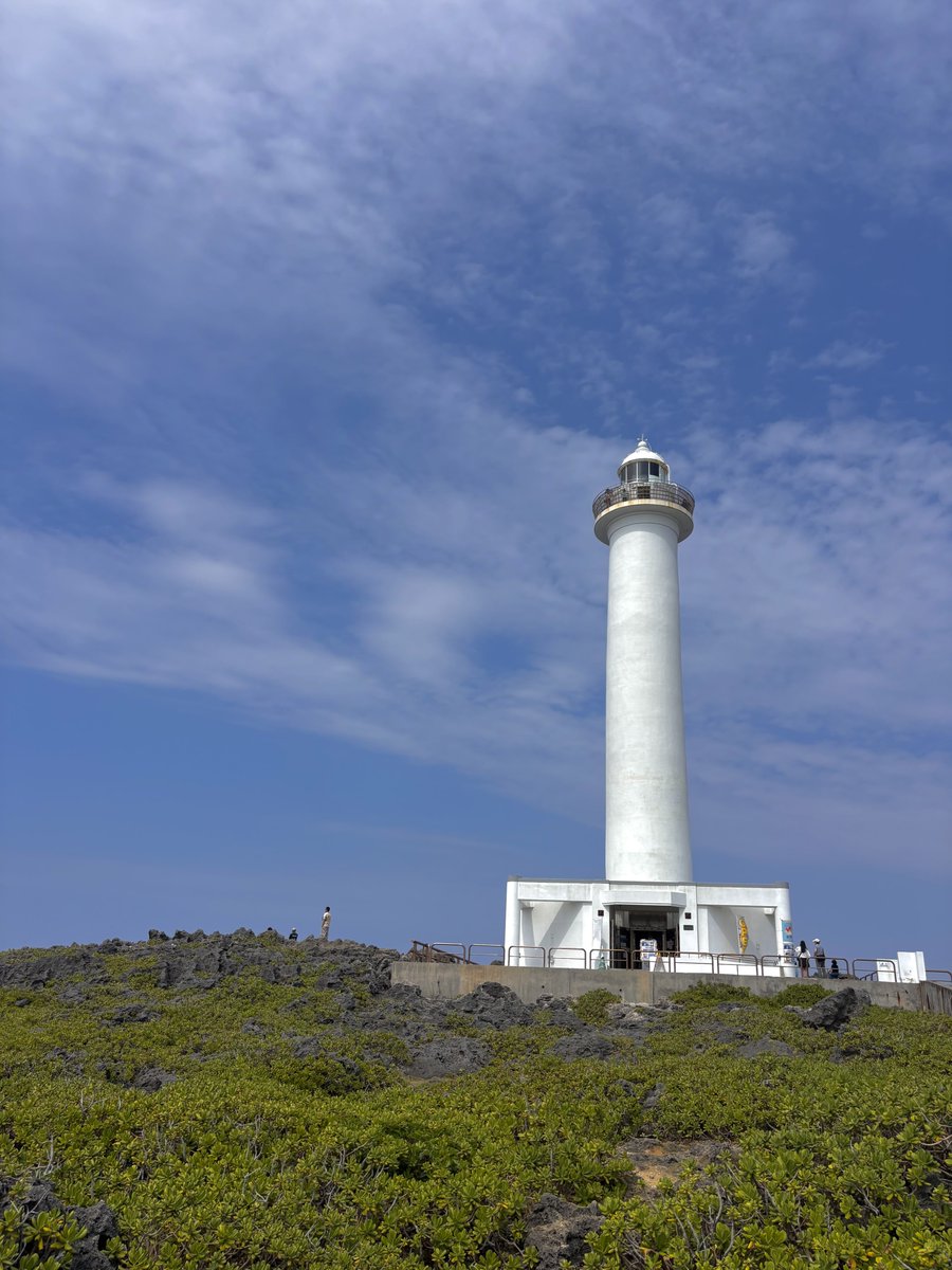 daichan🦈 tweet media