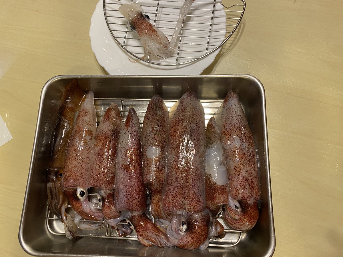 カナベル tweet media