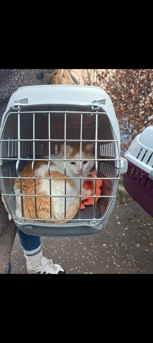 Alastair Campbell tweet media