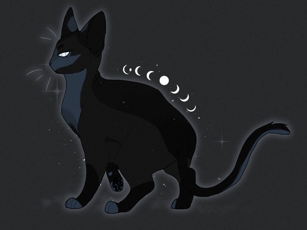 moon ⟢ tweet media