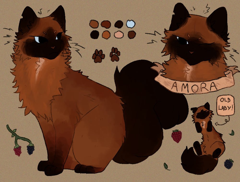 moon ⟢ tweet media