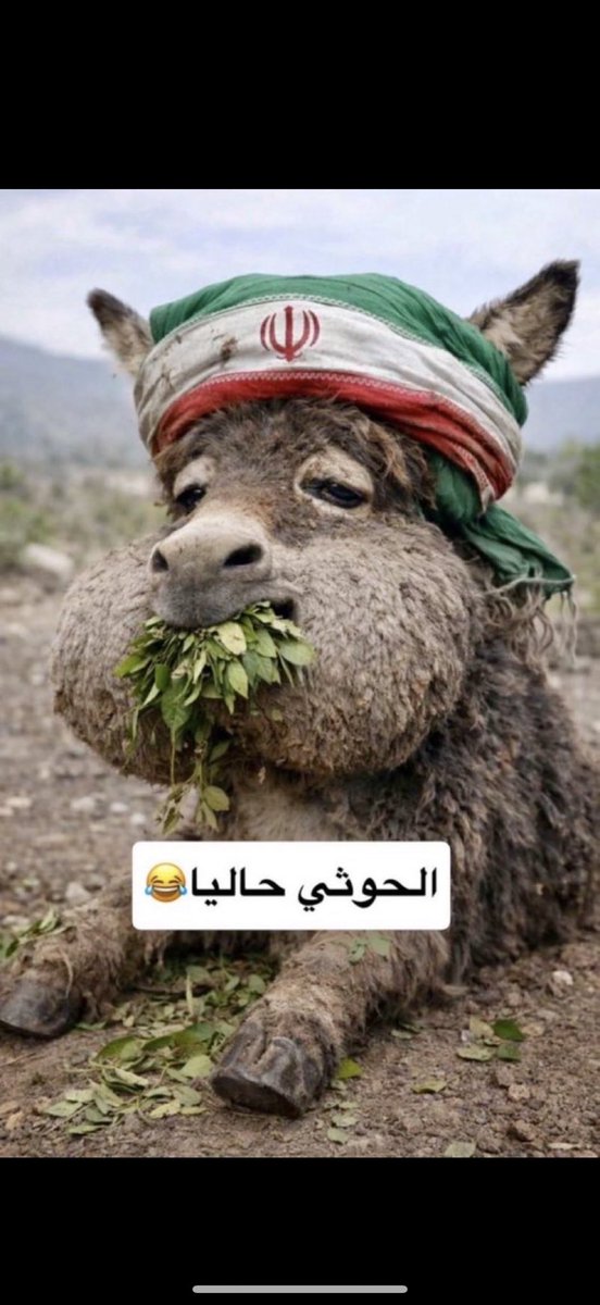 TURKI ALOTAIBI tweet media