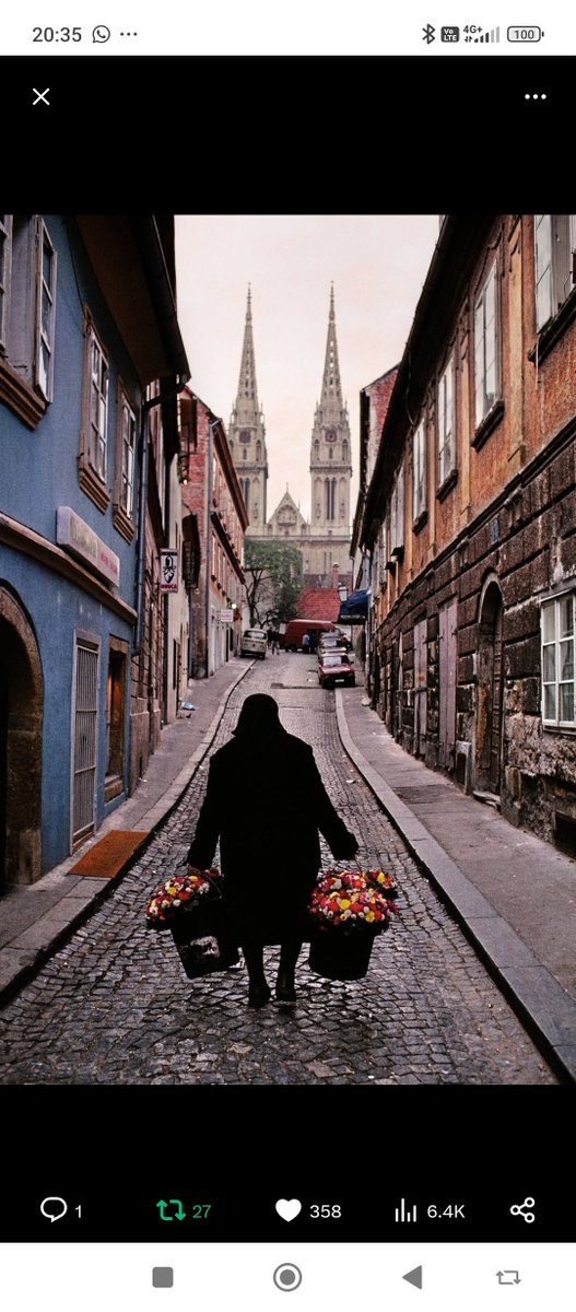 basket3ca tweet media