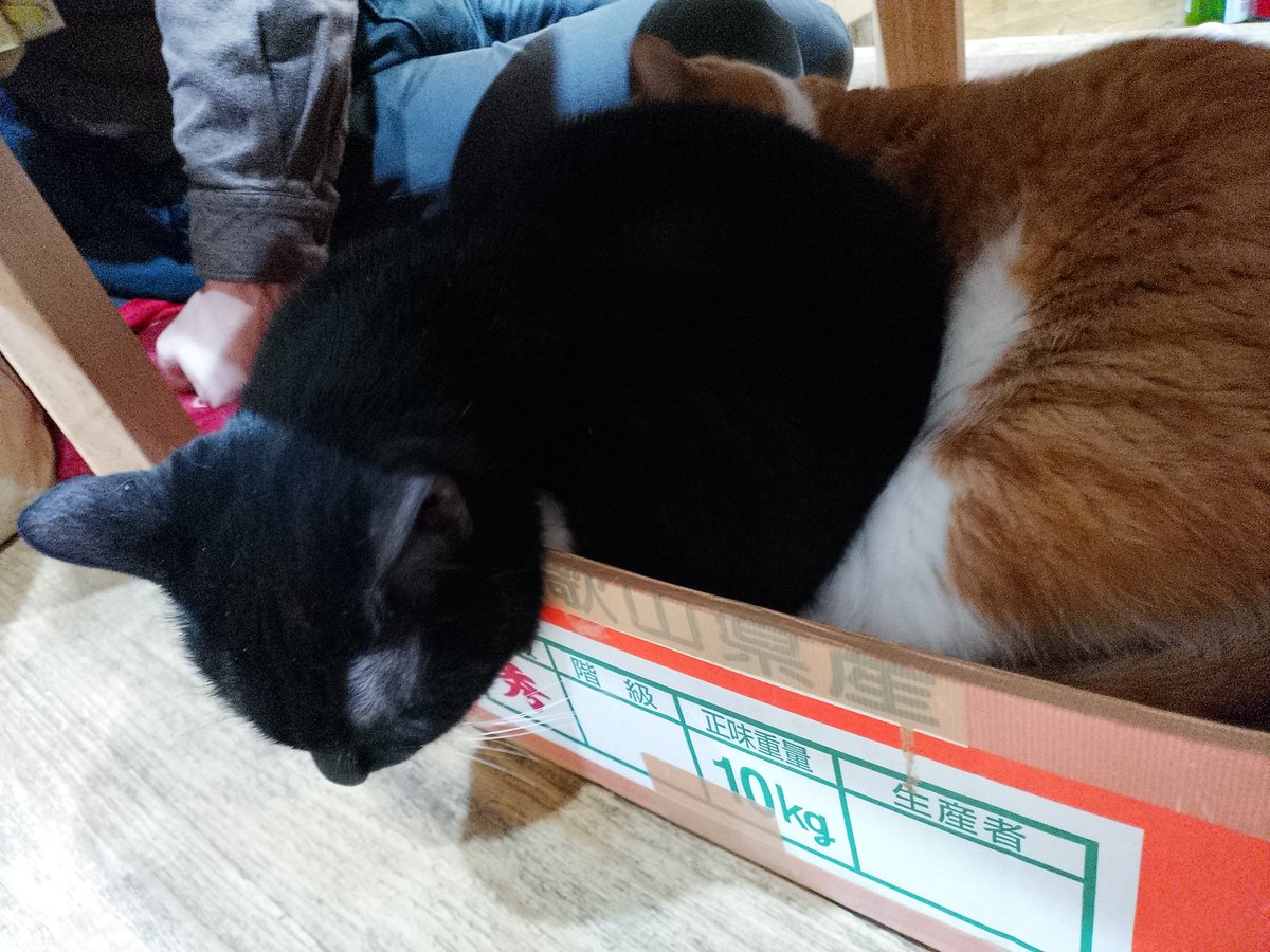 Cesse🍶 tweet media