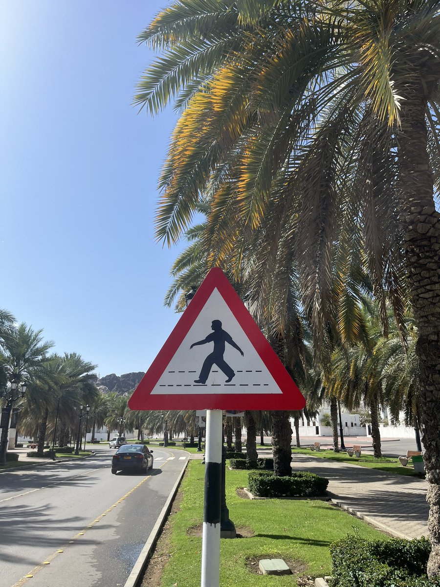 Joe Morrison tweet media