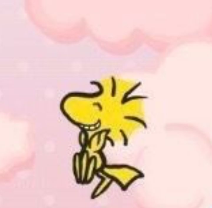 a!slin🪲 tweet media