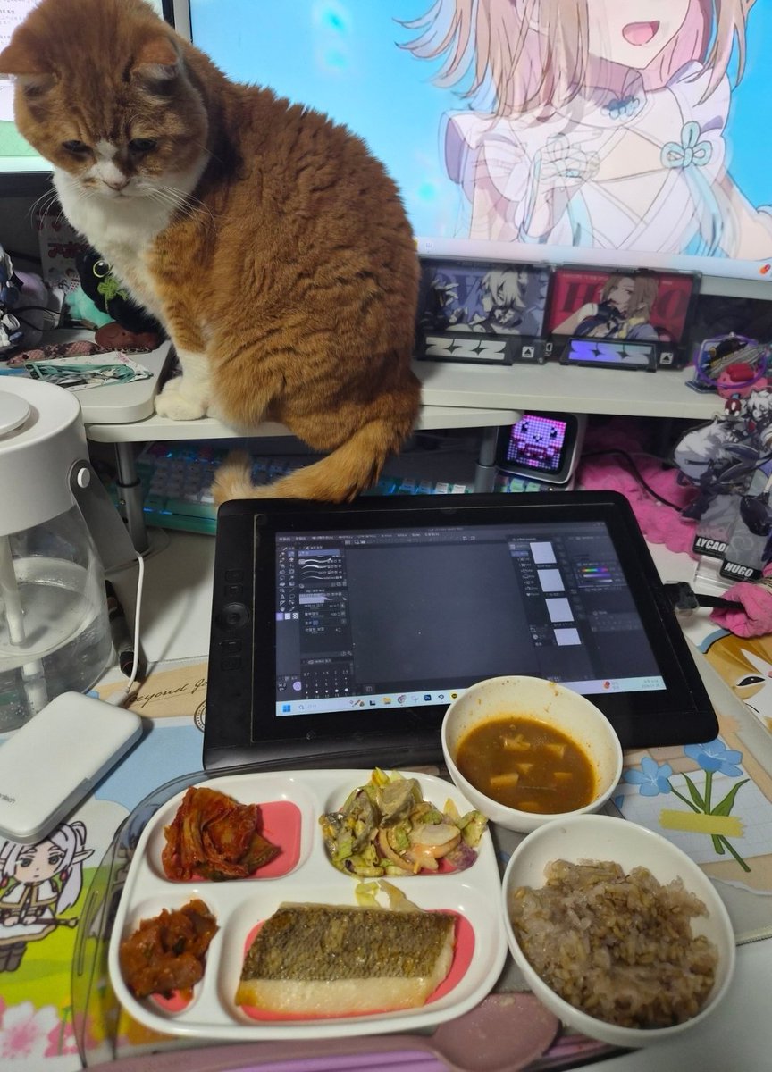 사랑해 뽀뽀또또 tweet media