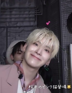 🐈🩵 tweet media