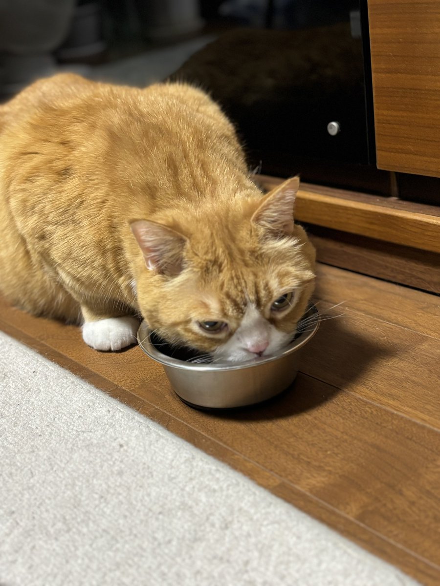 まんまるまんちかんのまる tweet media