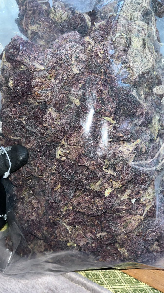 コナン2世 tweet media