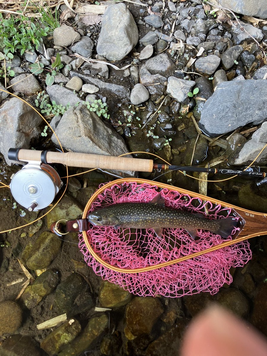 gachi_7134's tweet image. 今日は今シーズン初木曽へ！
ご一緒したのは勿論神さんです♪
釣果は3バラシ、1ラインブレイク、8ネットイン🕸️
リールに入魂も出来たしこの時期コレだけ釣れれば文句なし☺️
#フライフィッシング
#flyfishing
#タナビラ
#岩魚
#木曽の渓