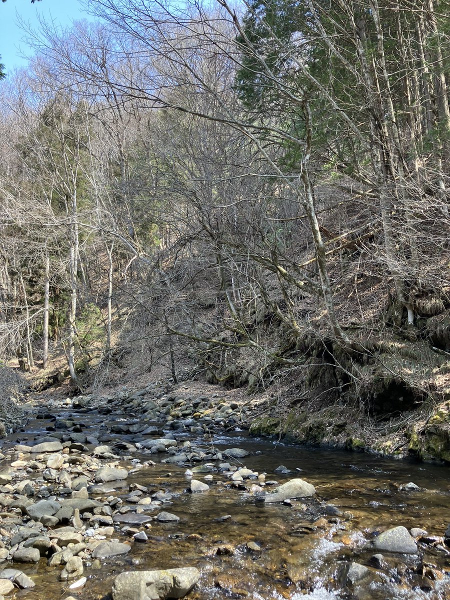 gachi_7134's tweet image. 今日は今シーズン初木曽へ！
ご一緒したのは勿論神さんです♪
釣果は3バラシ、1ラインブレイク、8ネットイン🕸️
リールに入魂も出来たしこの時期コレだけ釣れれば文句なし☺️
#フライフィッシング
#flyfishing
#タナビラ
#岩魚
#木曽の渓