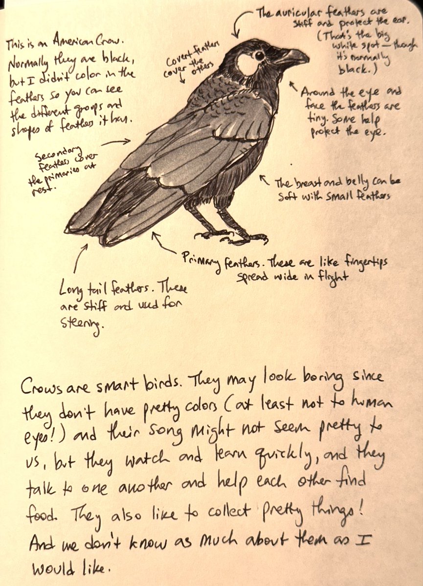 Dave O'Hara tweet media