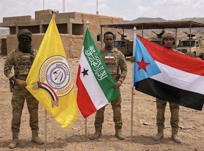 حميد tweet media