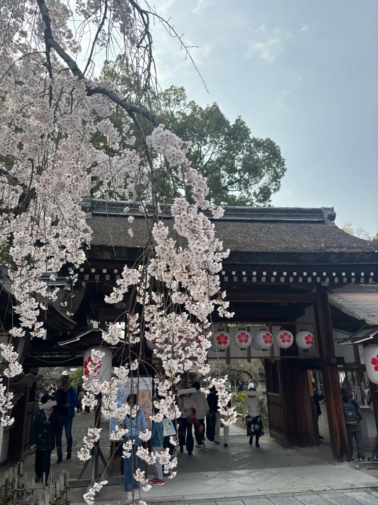 CRISS-CROSS / さぶ tweet media