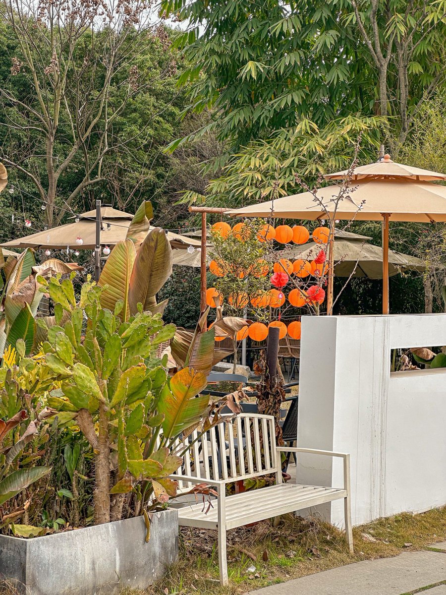 Dumanbet Güncel Giriş tweet media